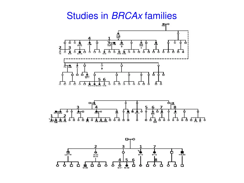 studies in brcax families