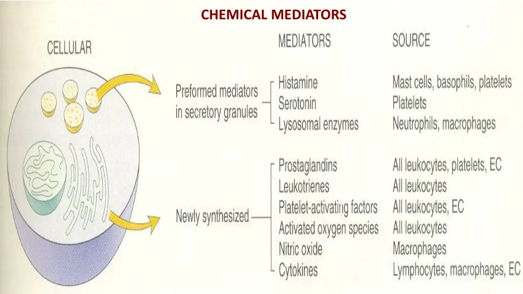 chemical mediators 1