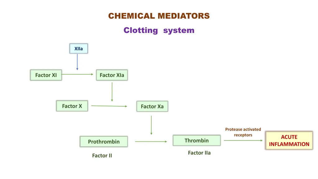 chemical mediators clotting system