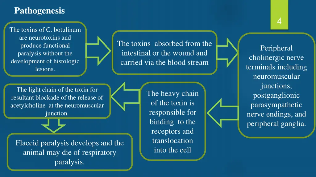 pathogenesis