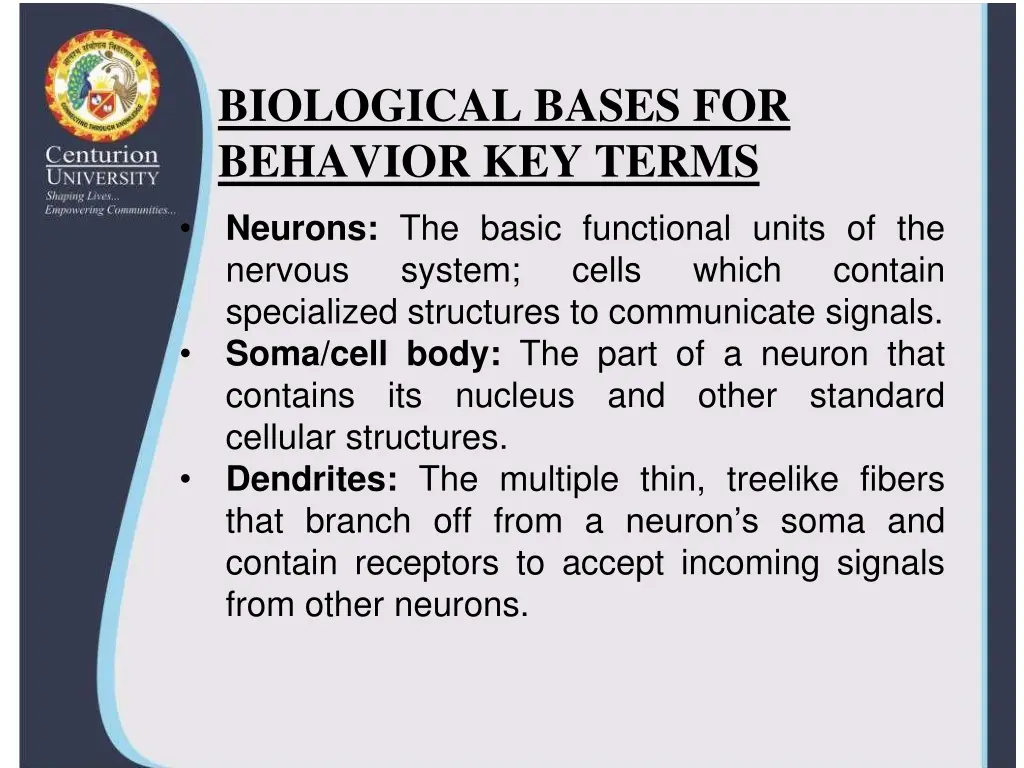 biological bases for behavior key terms