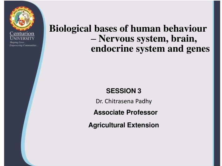 biological bases of human behaviour nervous