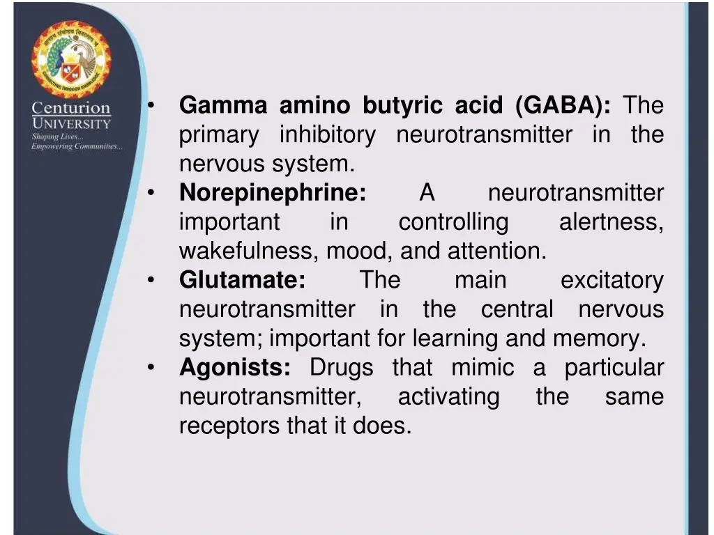 gamma amino butyric acid gaba the primary