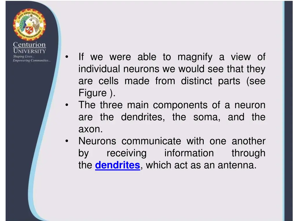 if we were able to magnify a view of individual
