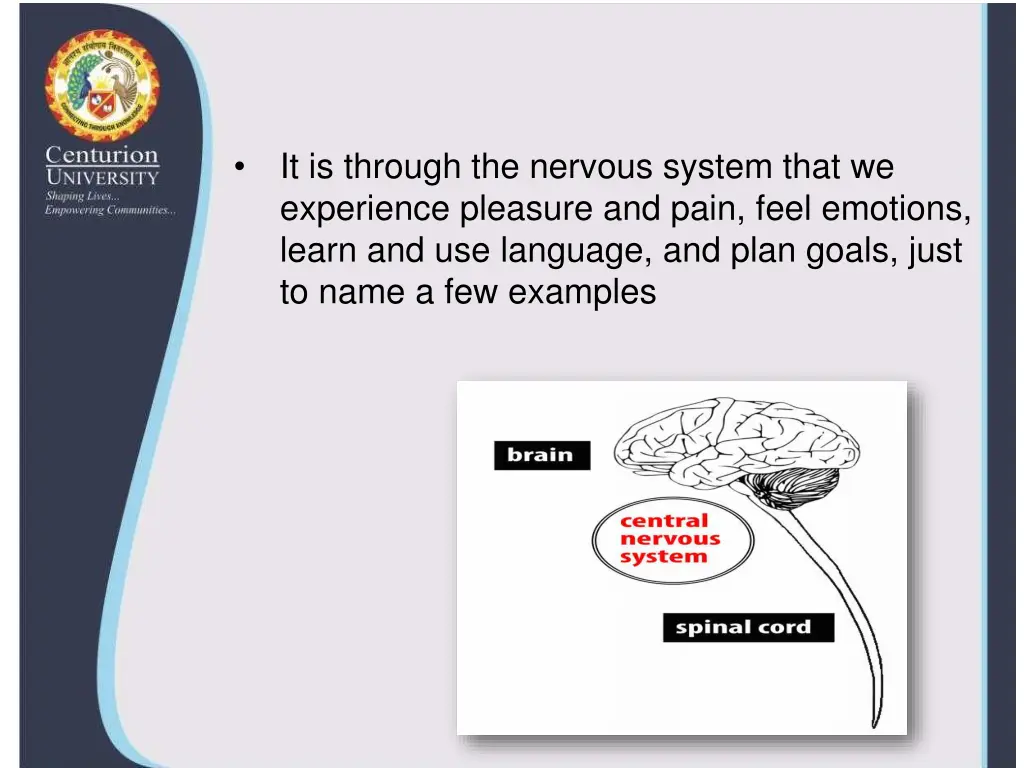 it is through the nervous system that