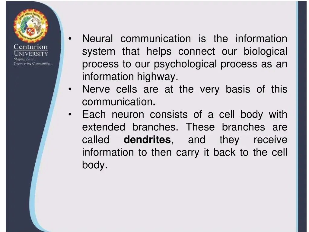neural communication is the information system