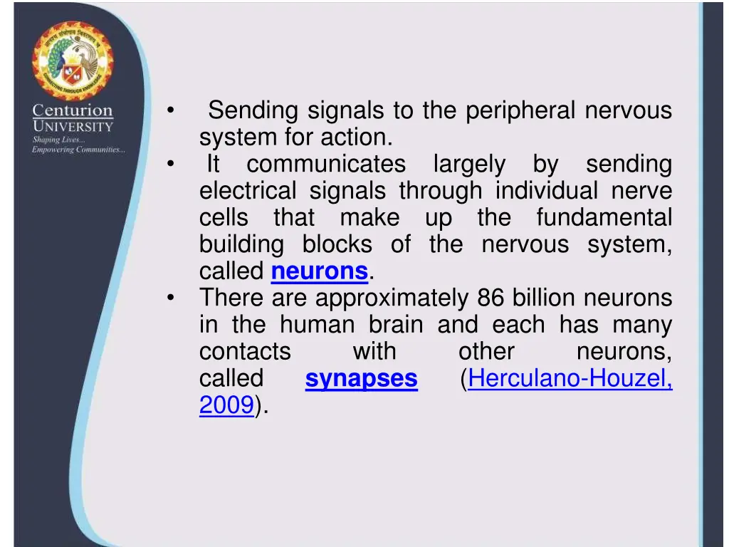 sending signals to the peripheral nervous system