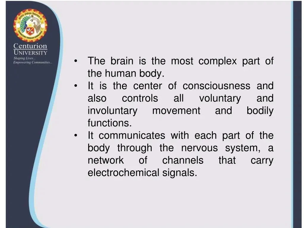 the brain is the most complex part of the human