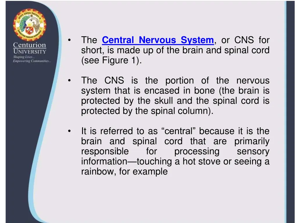 the central nervous system or cns for short