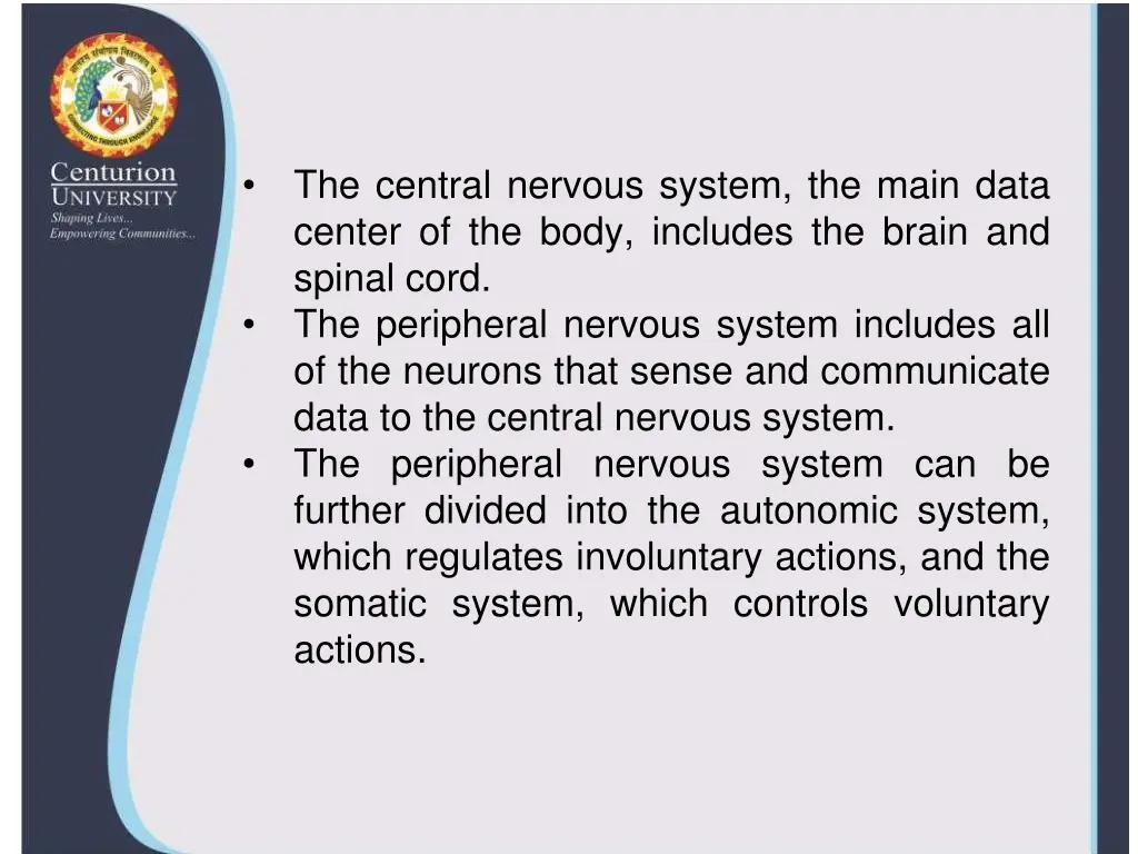 the central nervous system the main data center