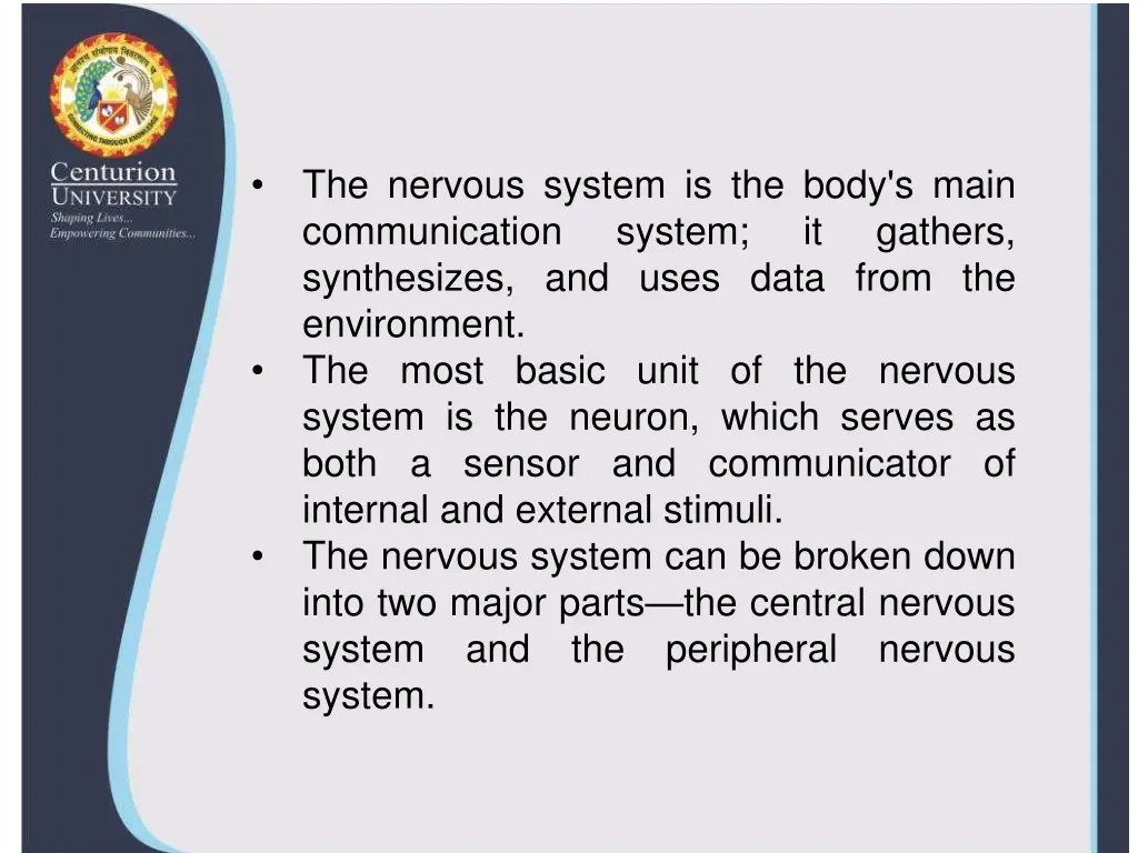 the nervous system is the body s main