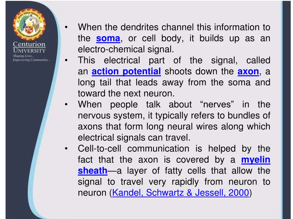 when the dendrites channel this information