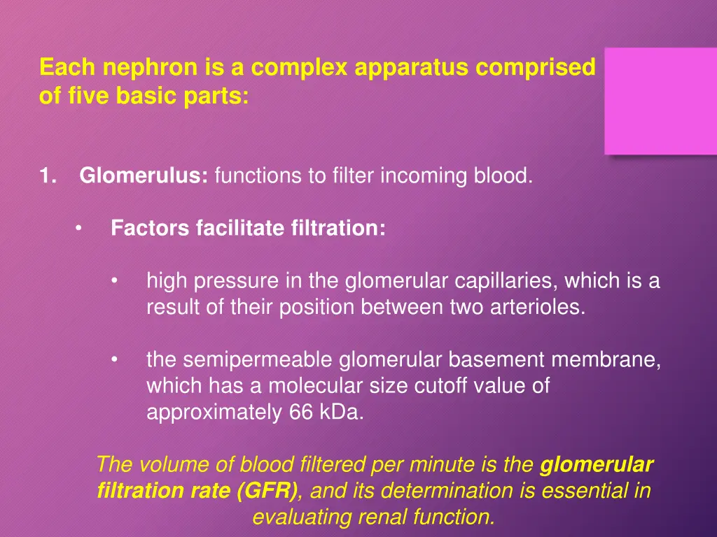 each nephron is a complex apparatus comprised