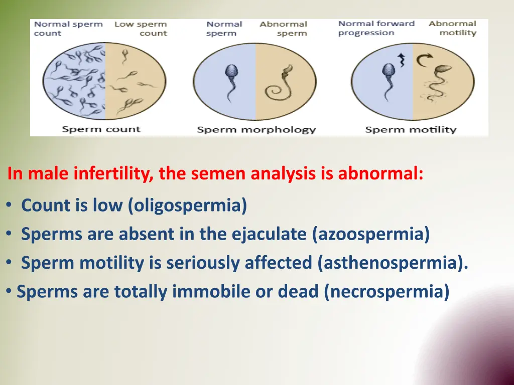 in male infertility the semen analysis
