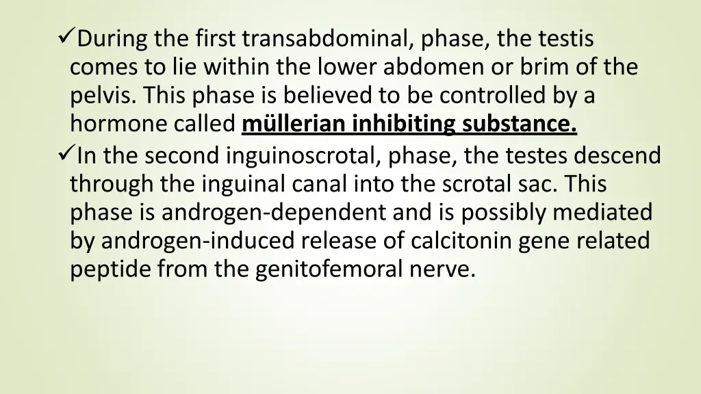 during the first transabdominal phase the testis