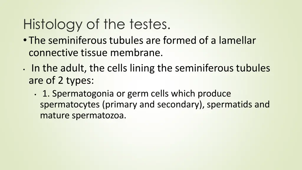 histology of the testes the seminiferous tubules