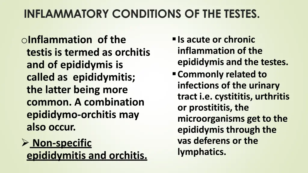 inflammatory conditions of the testes