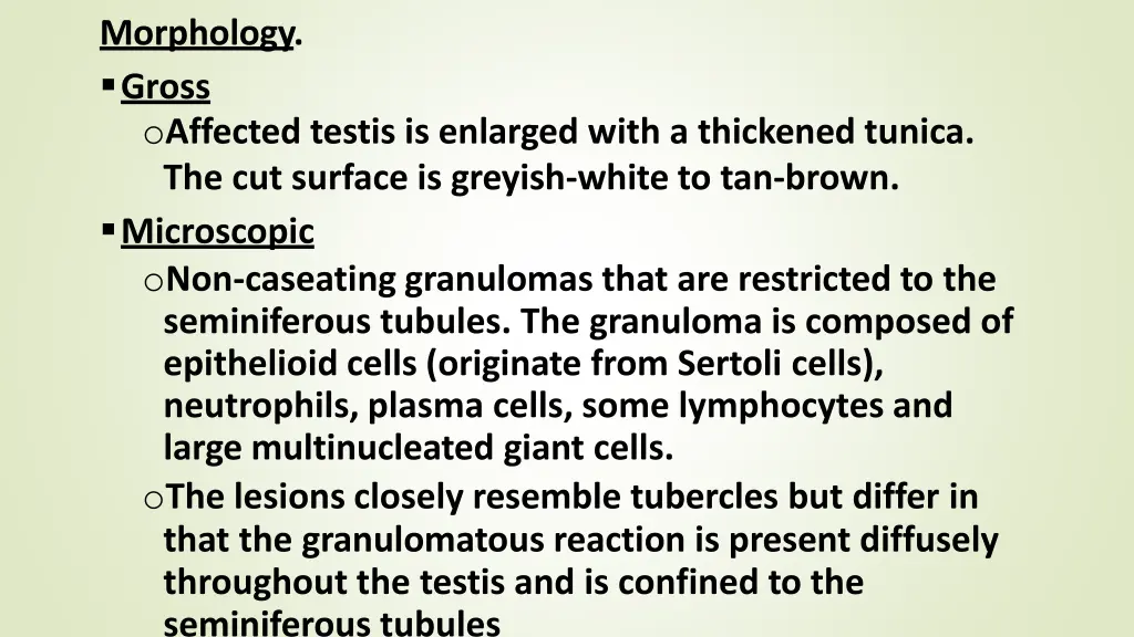morphology gross o affected testis is enlarged