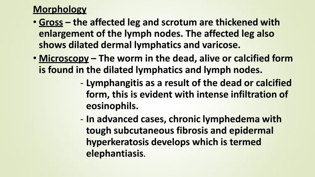 morphology gross the affected leg and scrotum