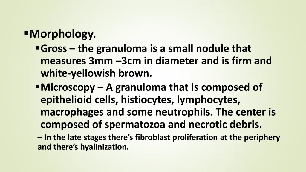 morphology gross the granuloma is a small nodule