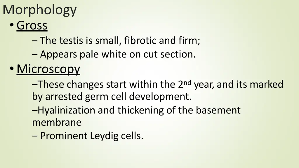morphology gross the testis is small fibrotic
