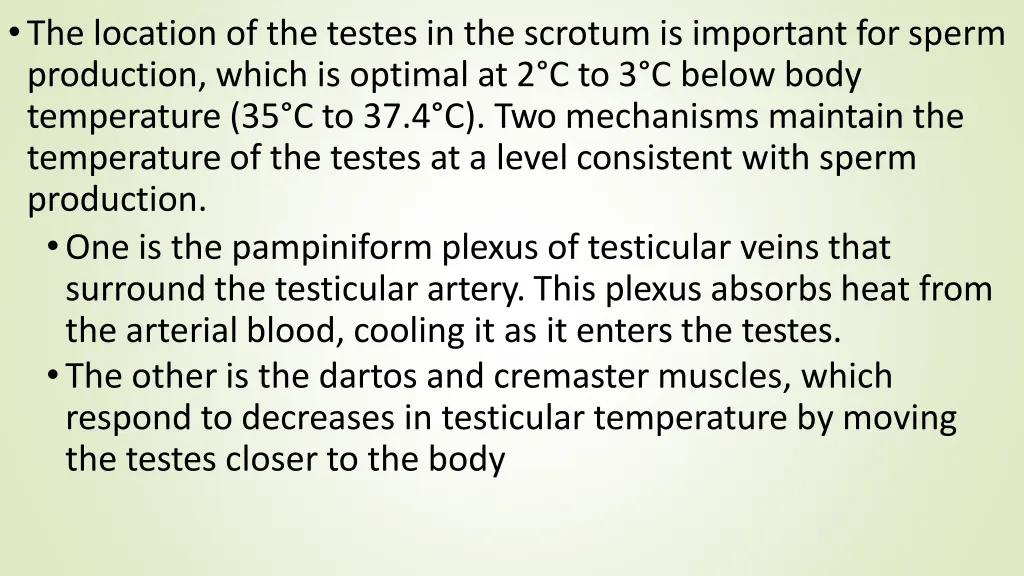 the location of the testes in the scrotum
