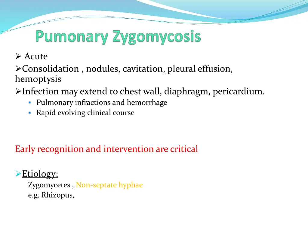 acute consolidation nodules cavitation pleural