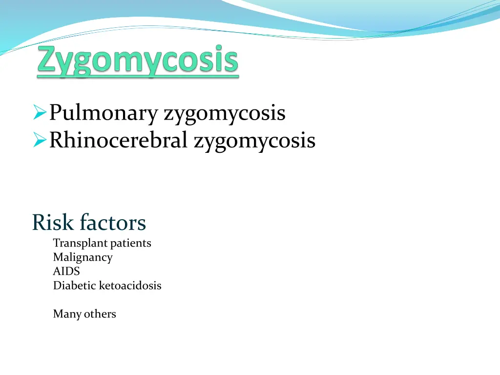pulmonary zygomycosis rhinocerebral zygomycosis