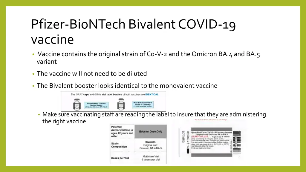 pfizer biontech bivalent covid 19 vaccine