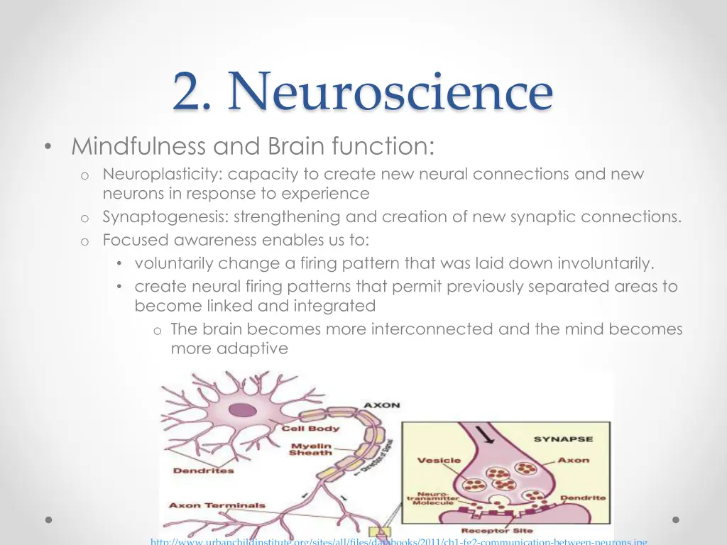 2 neuroscience mindfulness and brain function