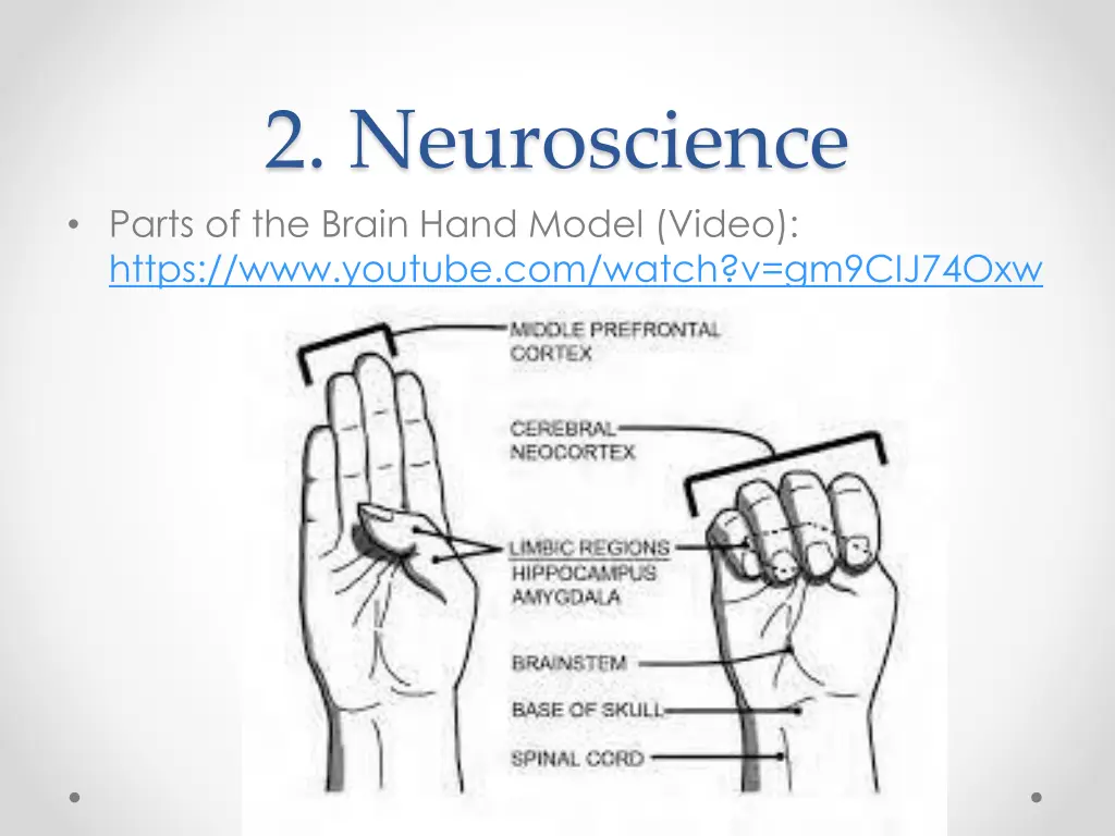 2 neuroscience parts of the brain hand model