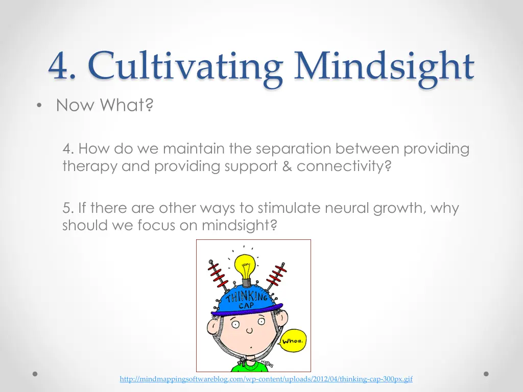 4 cultivating mindsight now what