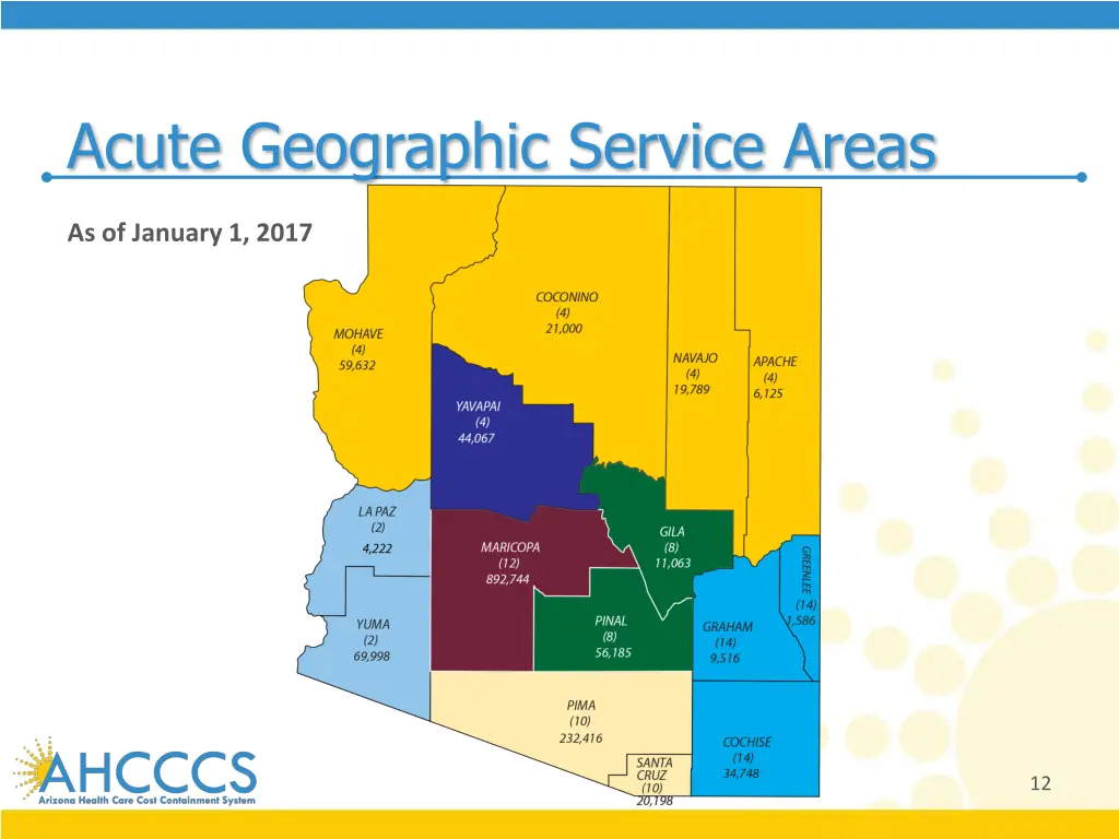 acute geographic service areas