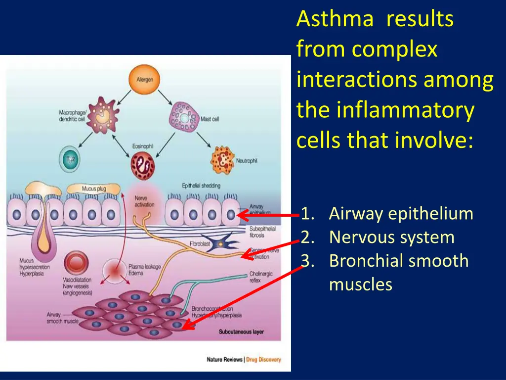 asthma results from complex interactions among