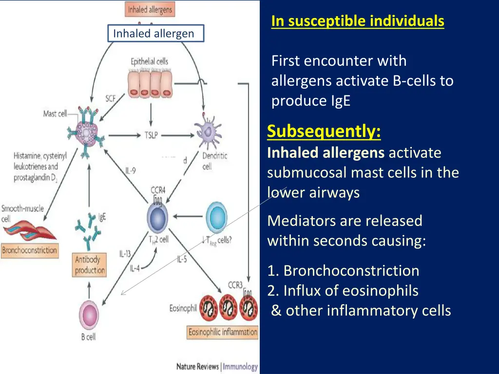 in susceptible individuals