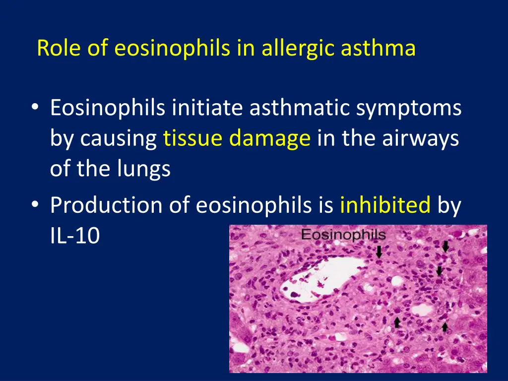 role of eosinophils in allergic asthma