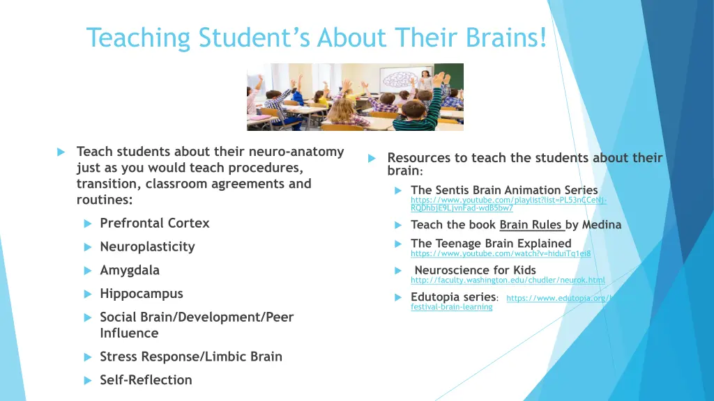 teaching student s about their brains