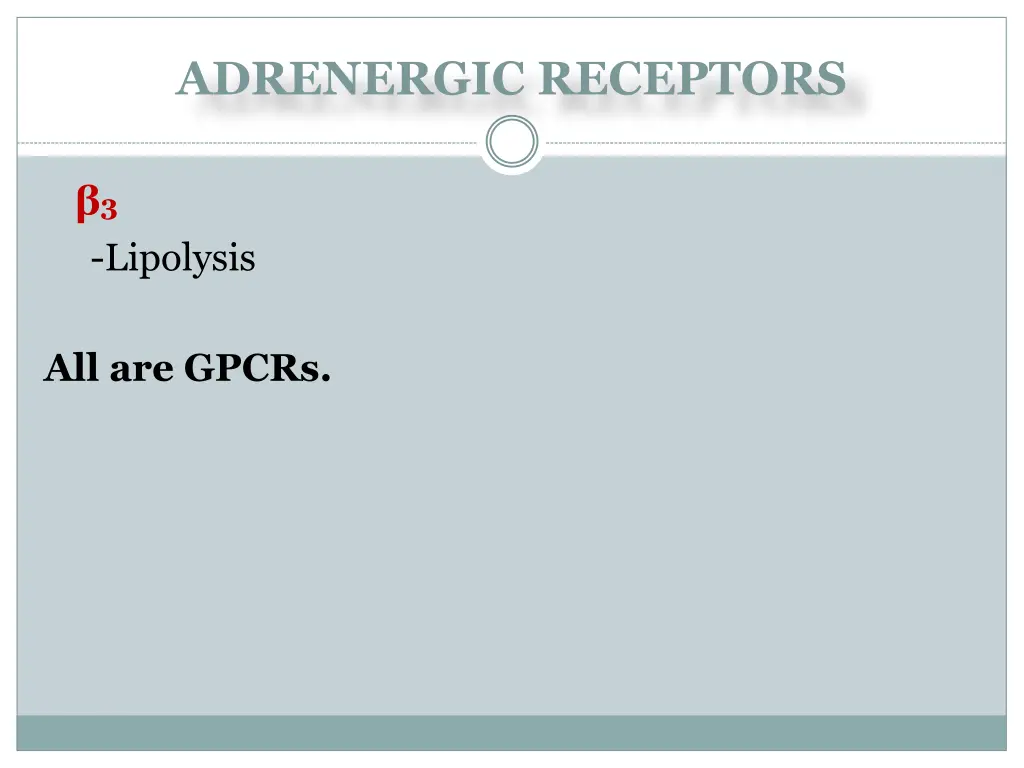 adrenergic receptors 2