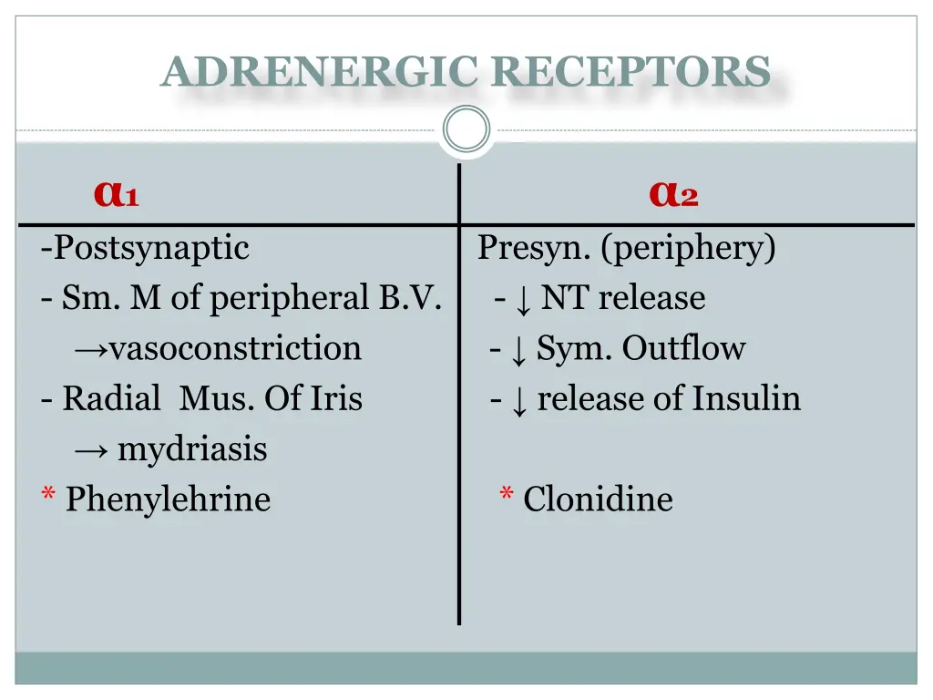 adrenergic receptors