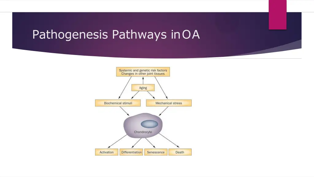 pathogenesis pathways inoa