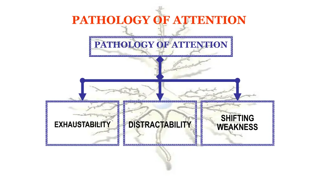 pathology of attention