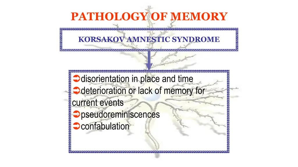 pathology of memory 1