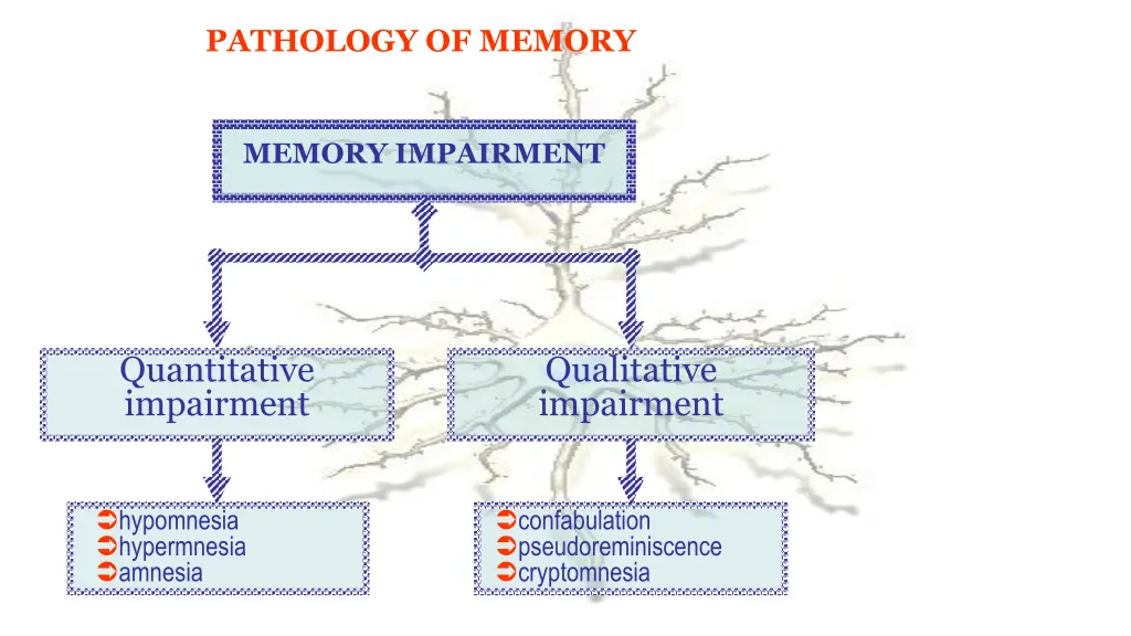 pathology of memory