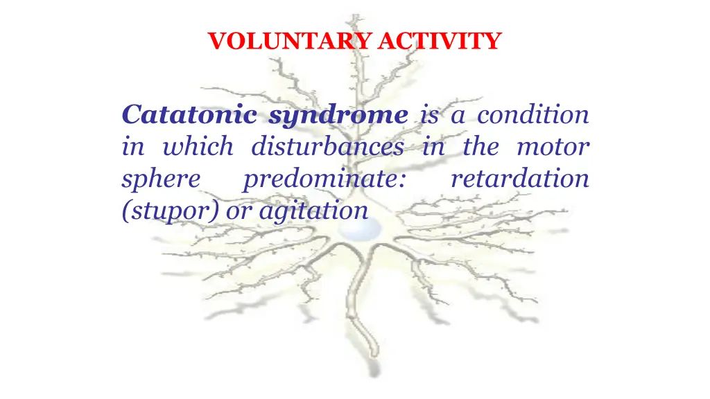 voluntary activity 1