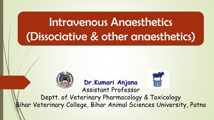 intravenous anaesthetics dissociative other