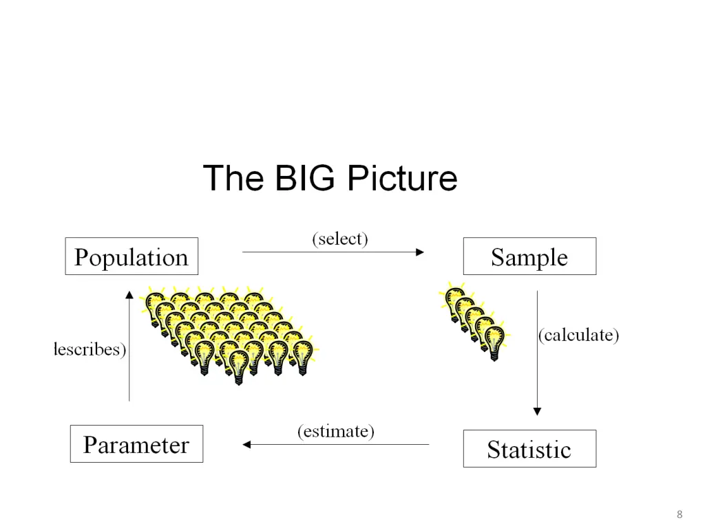 slide8