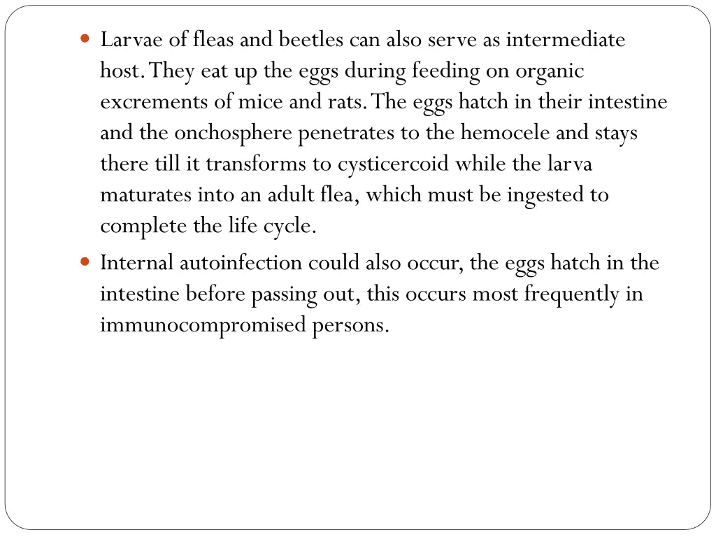 larvae of fleas and beetles can also serve