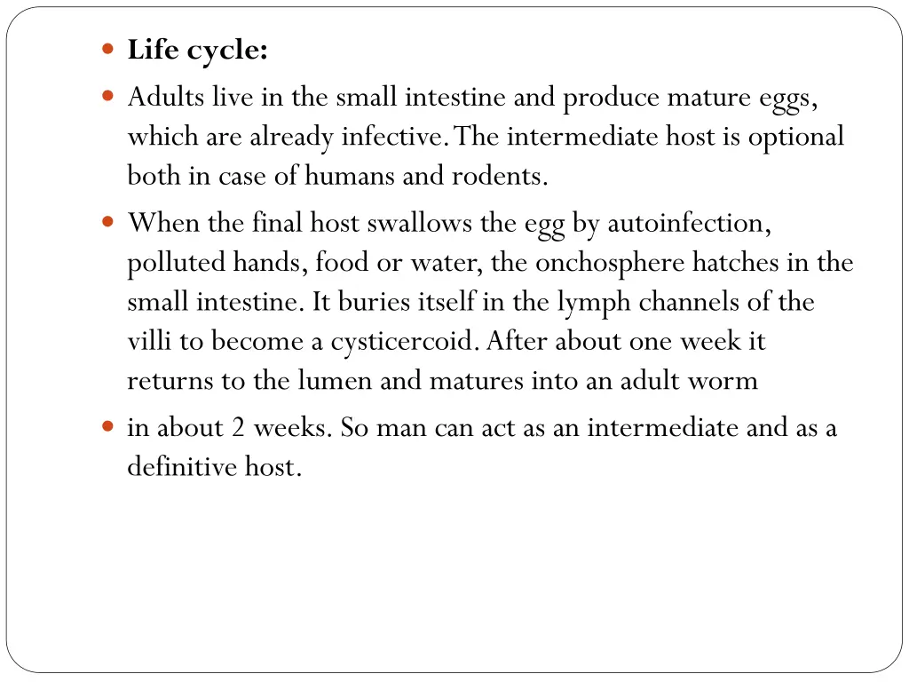 life cycle adults live in the small intestine