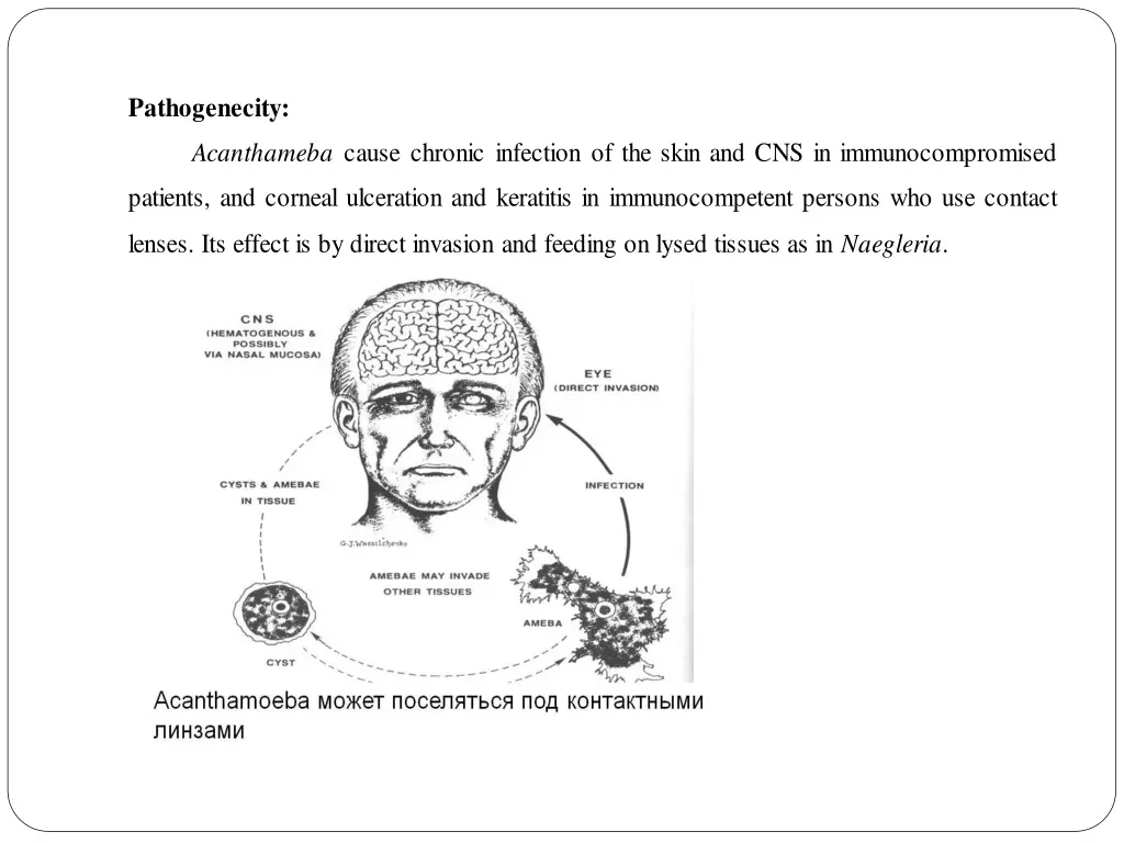 pathogenecity