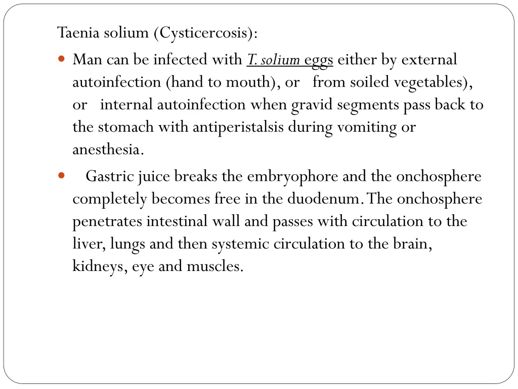 taenia solium cysticercosis man can be infected
